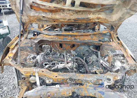 2025 Nissan Sentra Sv из США, поврежденный, VIN 3N1AB8CV0SY250242